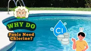 Why Do Pools Need Chlorine? The Chemical That Makes Pools Safe and Sparkling