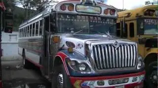 Chicken Bus World Record update #1