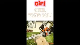 Live Unboxing Chainsaw Mini STIHL MS 170 Asli