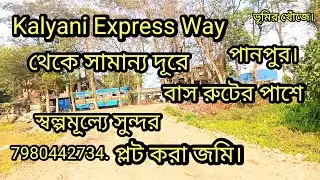 Land Sale for living, Factory and Gardening.(পানপুর,Kakinara Rafipurরোডের  পাশে)।