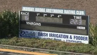 Murray-Bridge-01022026-Race-6