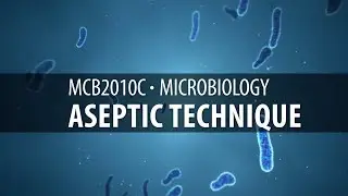 Лаборатория MCB2010C: Асептическая техника