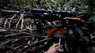 Mantrap guys💪🏻 #hunting #junglefowl 