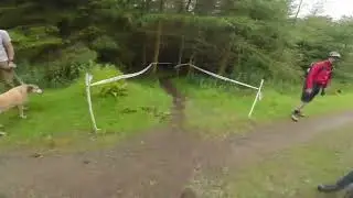 Irish Enduro Champs Ravensdale 2024 POV( Stage 2 raw)