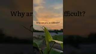 Life is Difficult Yet Beautiful