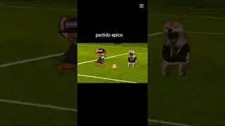 partidaso