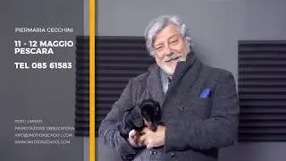 Master Class di RECITAZIONE con l'attore e regista Piermaria CECCHINI - 11 e 12 Maggio PESCARA