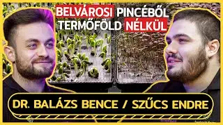 Igazán FRISS ZÖLDSÉGET télen csak tőlük tudsz venni! - Bedrock.farm - Pulicorn Podcast