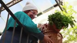 Centro Auser di Francavilla Fontana - Filo d'Argento