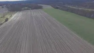 Corn field trip