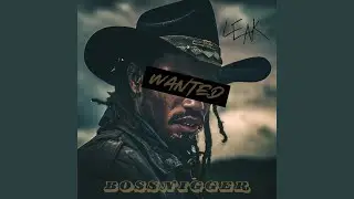 BOSSNIGGER, Pt. 2 (Extended Mix)