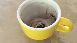 Capricorn May 1, 2023 Weekly Coffee Cup Reading by Cognitive Universe