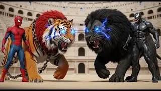 |⚔️ Ferocious SPIDER MAN lion 🆚 Massive VENOM lion Ultimate Wild Animal Fights Showdown