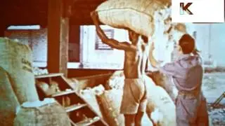1950s 1960s Brazil, Cotton Gin, Farming, Industry