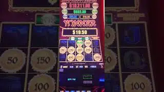 dragon link major jackpot hit on minimum bet #bonus #jackpot #major #dragonlink #casino #win #slots