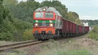 M62BF-3101  POL-MIEDŹ-TRANS
