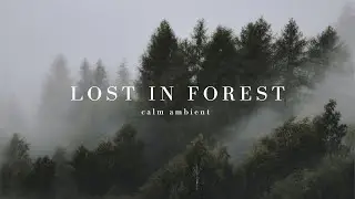 Lost in forest | Calm ambient music for meditations & sleep