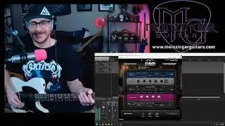 THE AMP SIM SHOW - E191 - NAM Is MORE Than Metal w/Matt Fig