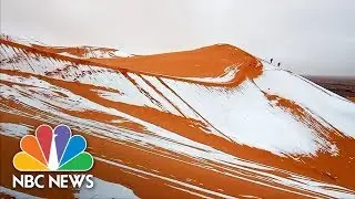 Snow Blankets Sahara Sand Dunes After Rare Icy Weather | NBC News
