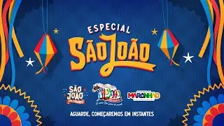 Boi de Sonhos e Boi de Santa Luzia animam o Arraial do Ipem neste sábado (13)