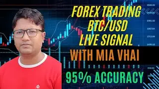 BTC/USD LIVE FOREX TRADING DAILY Signal 24/08/2024