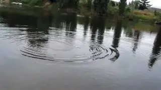 Bonnievale Bass in the morning