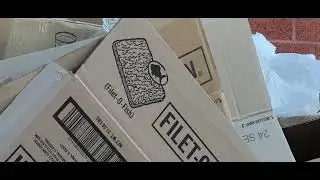 McDonald's Filet-o-fish Box In Recycling.