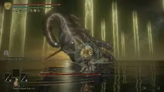 ELDEN RING Radagon & Elden Beast melee only solo