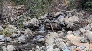 Fancy Creek near Homestake Reservoir Road in Colorado upstream from 4x4 trail to Holy Cross City