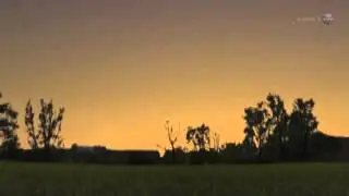 Three Planets Appear In 'Sunset Triangle'   Video