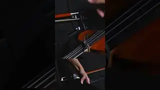 Case RIGIDO para violino de FIBRA