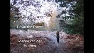The Elements: SPIRIT  //  Down the Forest Path Podcast