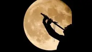 Steal the Moon, by Gareth Laffely
