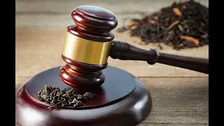 157 India Tea News