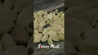 Cardamom |Queen of Spices| Whole Spices |Kerala Spices| Spicesmall