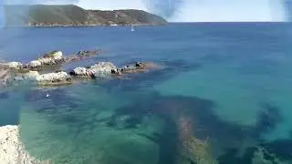 laconella e lacona