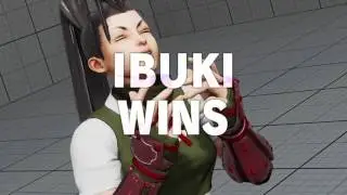 Sf5 capcom fighters network replays