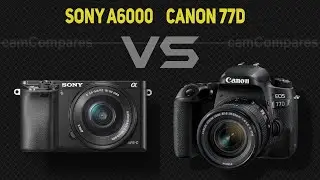 Sony A6000 vs Canon 77D  [Camera Battle]