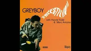Texas Twister - Greyboy