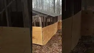 Put up some plywood on the pig shelter 