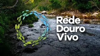 RIOS D'OURO Documentário Completo | Rede Douro Vivo