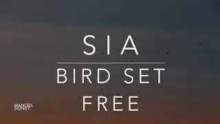 Sia - Bird Set Free (Lyrics/Tradução/Legendado)(HQ)