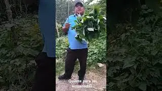 yo lo conozco como Quilete