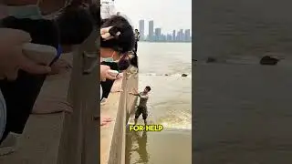 Saved the trapped puppy #dog