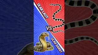 Lebih mematikan man ?Ular Laut (sea snake) atau ular darat #faktaunik #shorts