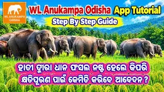 How To Apply For Crop Damage #Compensation By Wild Elephant Online Step By Step Guide In Odia