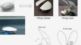 Cockroach-inspired winged robot reveals principles of ground-based dynamic self-righting, IROS 2016