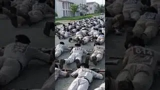 I.R.B Training Video