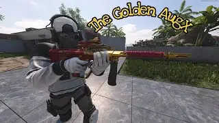 The Golden Augx | Cold War Multiplayer