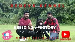 #rottweiler breeder life story #redeyskennel